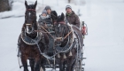 Paardensleetocht  in Tiroler Zugspitz Arena